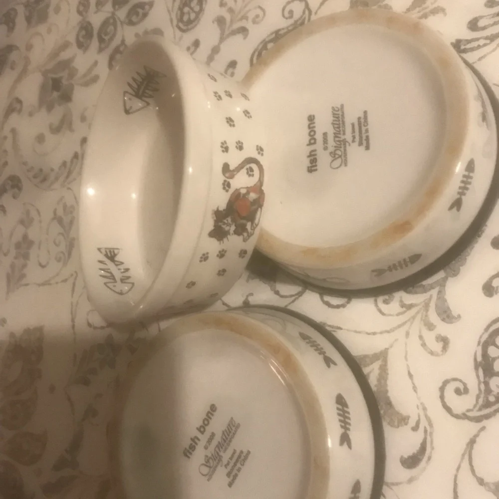 Cat bowls